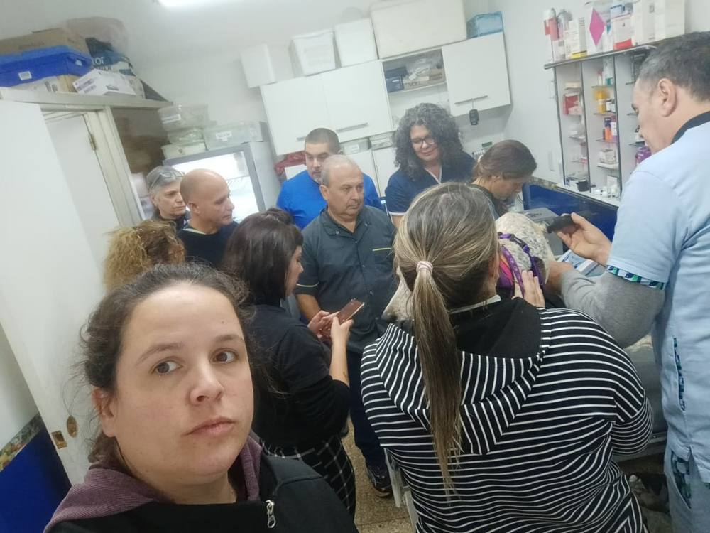 Alumnos en práctica en el consultorio