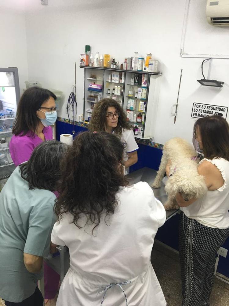 Práctica con un paciente en el consultorio